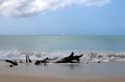 IMG_1487B.jpg