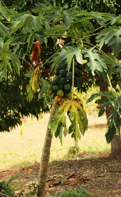 IMG_1461B.jpg