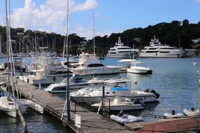 IMG_1309B.jpg