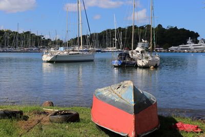IMG_1316B.jpg