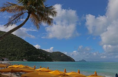 IMG_1666B.jpg