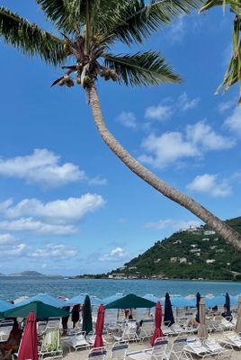 IMG_0161B.jpg