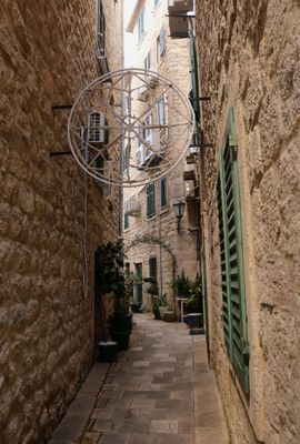 IMG_6135B.jpg