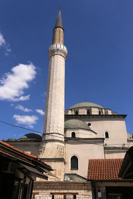 IMG_6437B.jpg