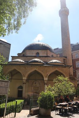 IMG_6432B.jpg