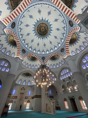 IMG_2842B.jpg