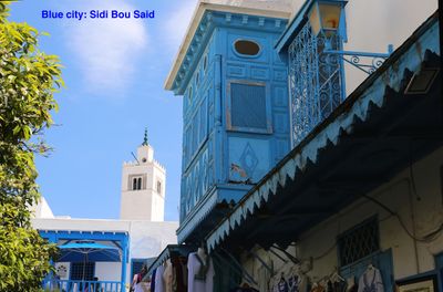 IMG_4528B copy.jpg