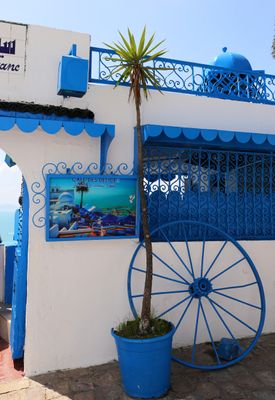 IMG_4498B.jpg