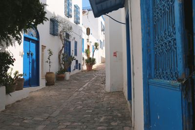 IMG_4522B.jpg