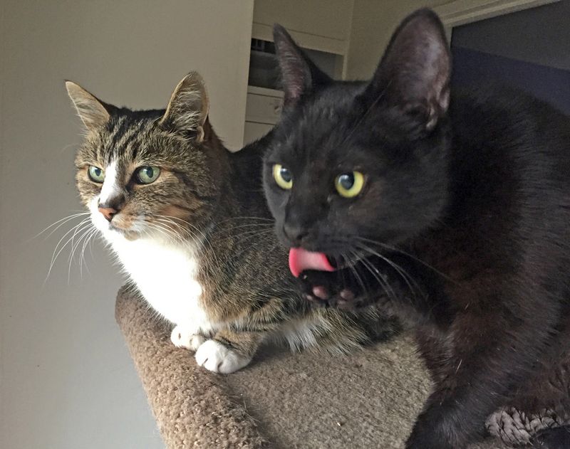 Milo and Chad
