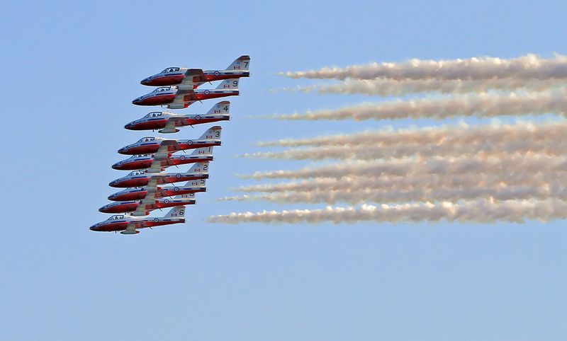 Snow Birds