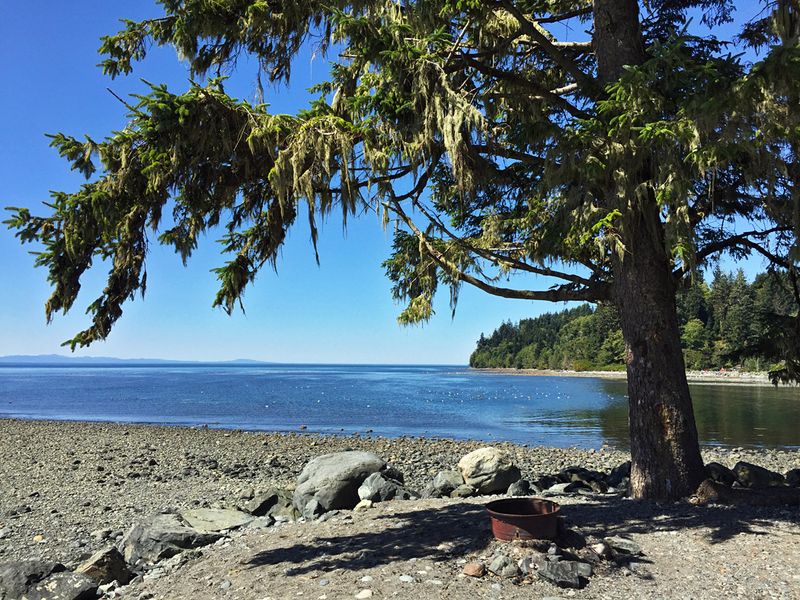 Vancouver Island Random Landscape