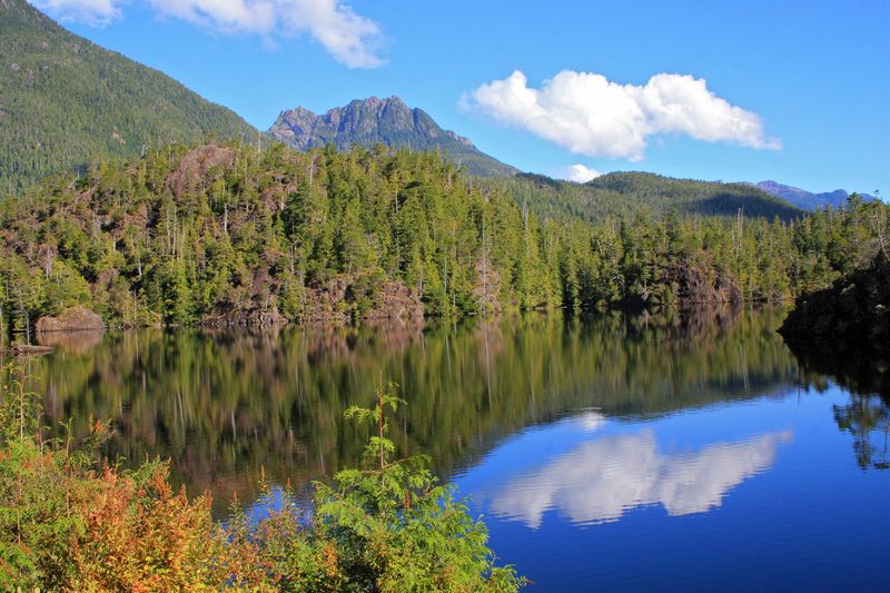 Pacific Rim National Park & Area