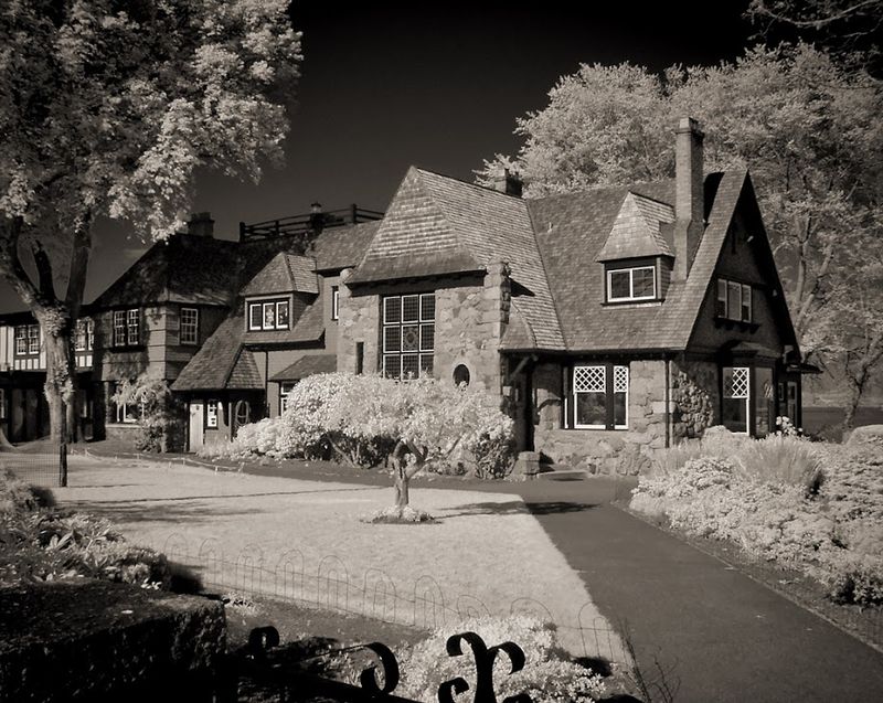 Various Infrared Photography