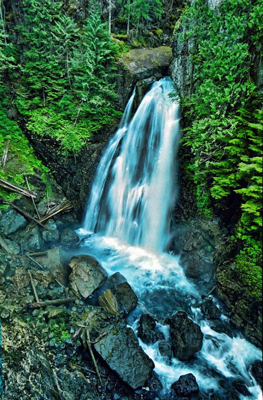 Vancouver Island Random Landscape