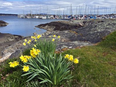 Queens Park - Oak Bay
