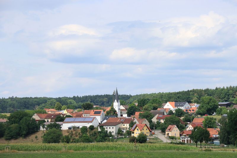 IMG_8446.JPG