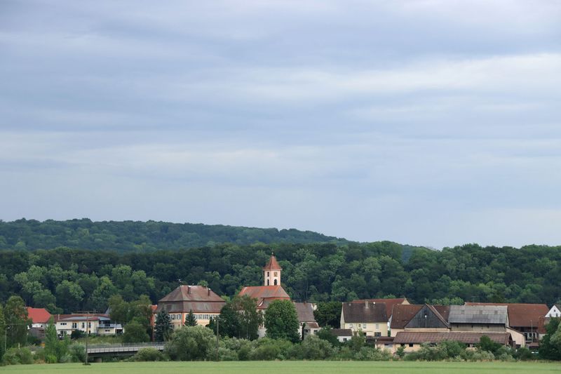 IMG_8599.JPG