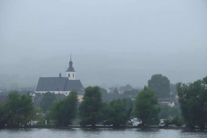 IMG_8891.JPG