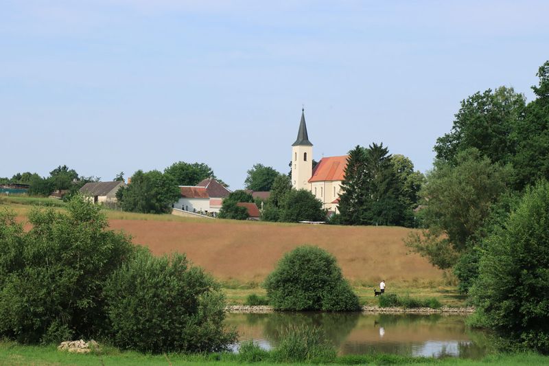 IMG_7889.JPG