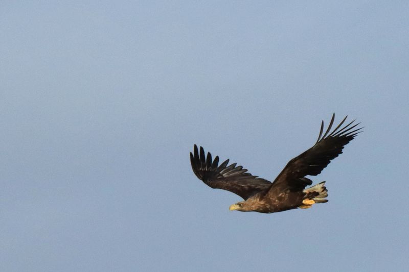 IMG_6184.JPG