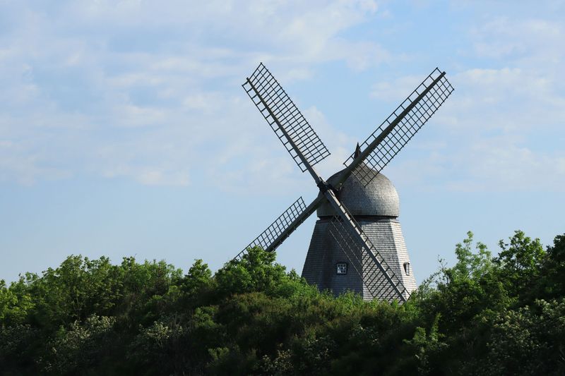 IMG_9571.JPG