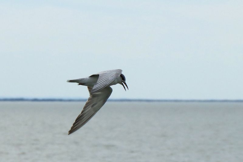IMG_5163.JPG