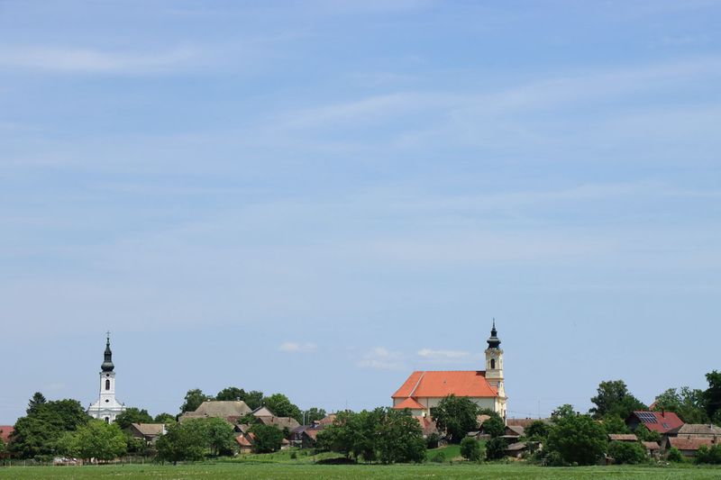 IMG_4685.JPG