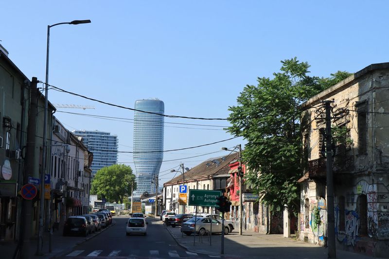 IMG_4879.JPG
