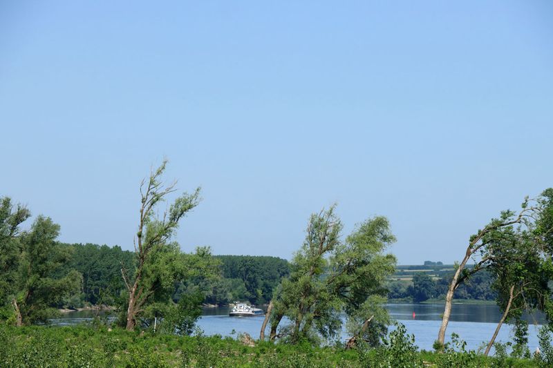 IMG_4765.JPG