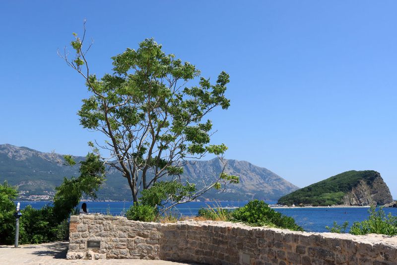 Budva