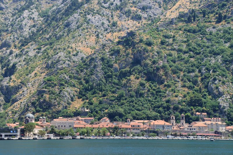 Kotor