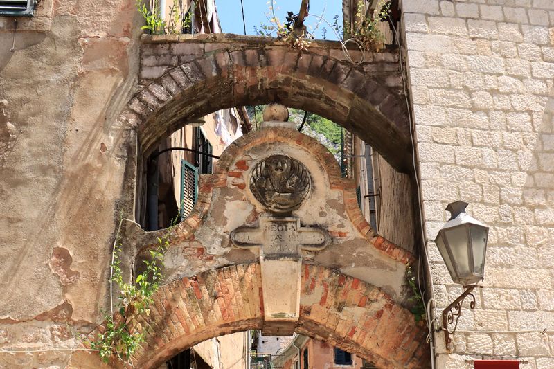 Kotor