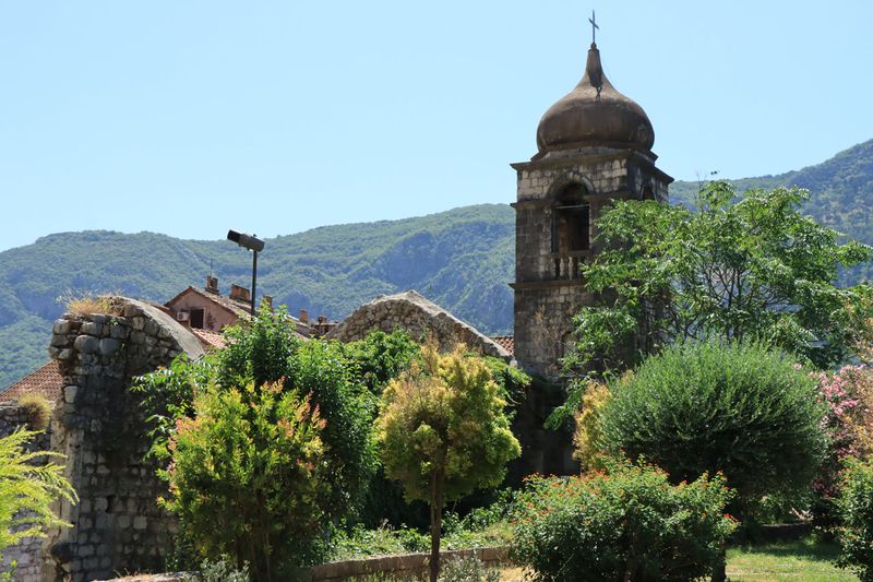 Kotor