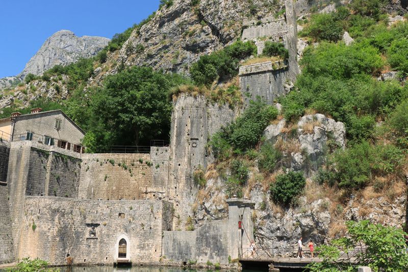 Kotor