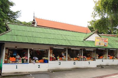 IMG_5937.JPG
