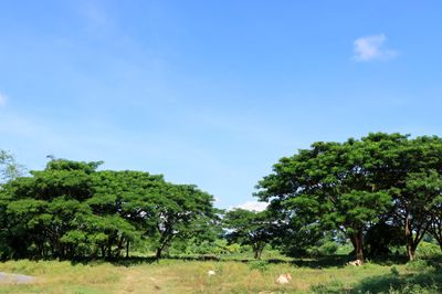 IMG_6126.JPG