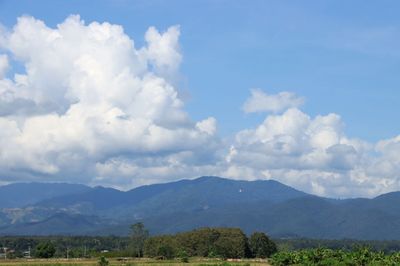 IMG_6135.JPG