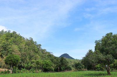IMG_6202.JPG