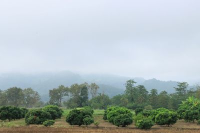 IMG_6237.JPG
