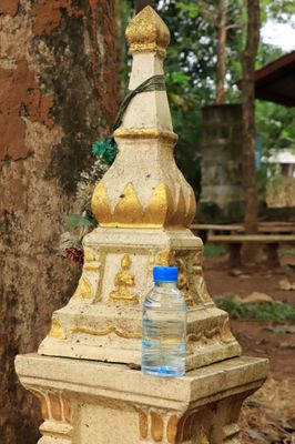IMG_6251.JPG