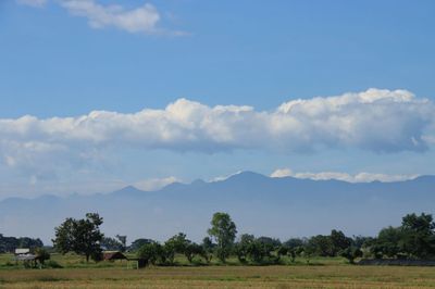 IMG_6299.JPG