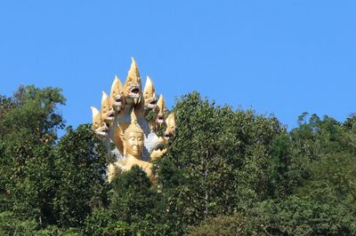 IMG_6308.JPG