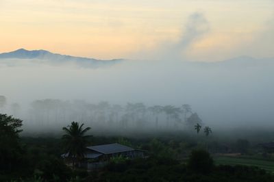 IMG_6374.JPG
