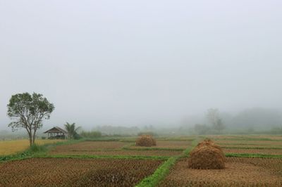 IMG_6382.JPG