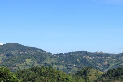 IMG_6388.JPG