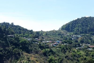 IMG_6411.JPG