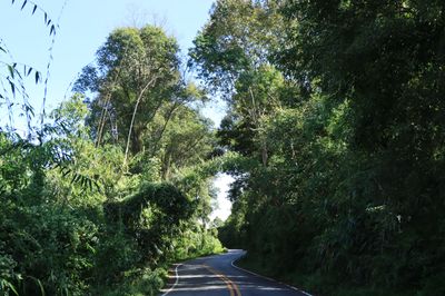IMG_6412.JPG