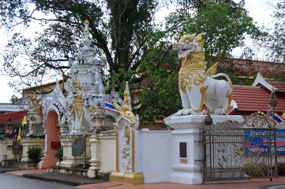 IMG_6639.JPG
