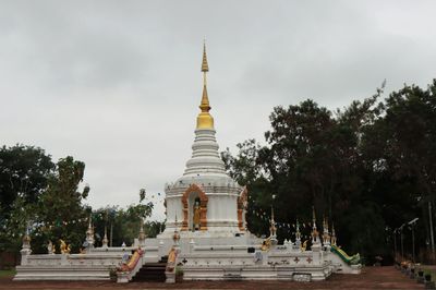 IMG_6649.JPG